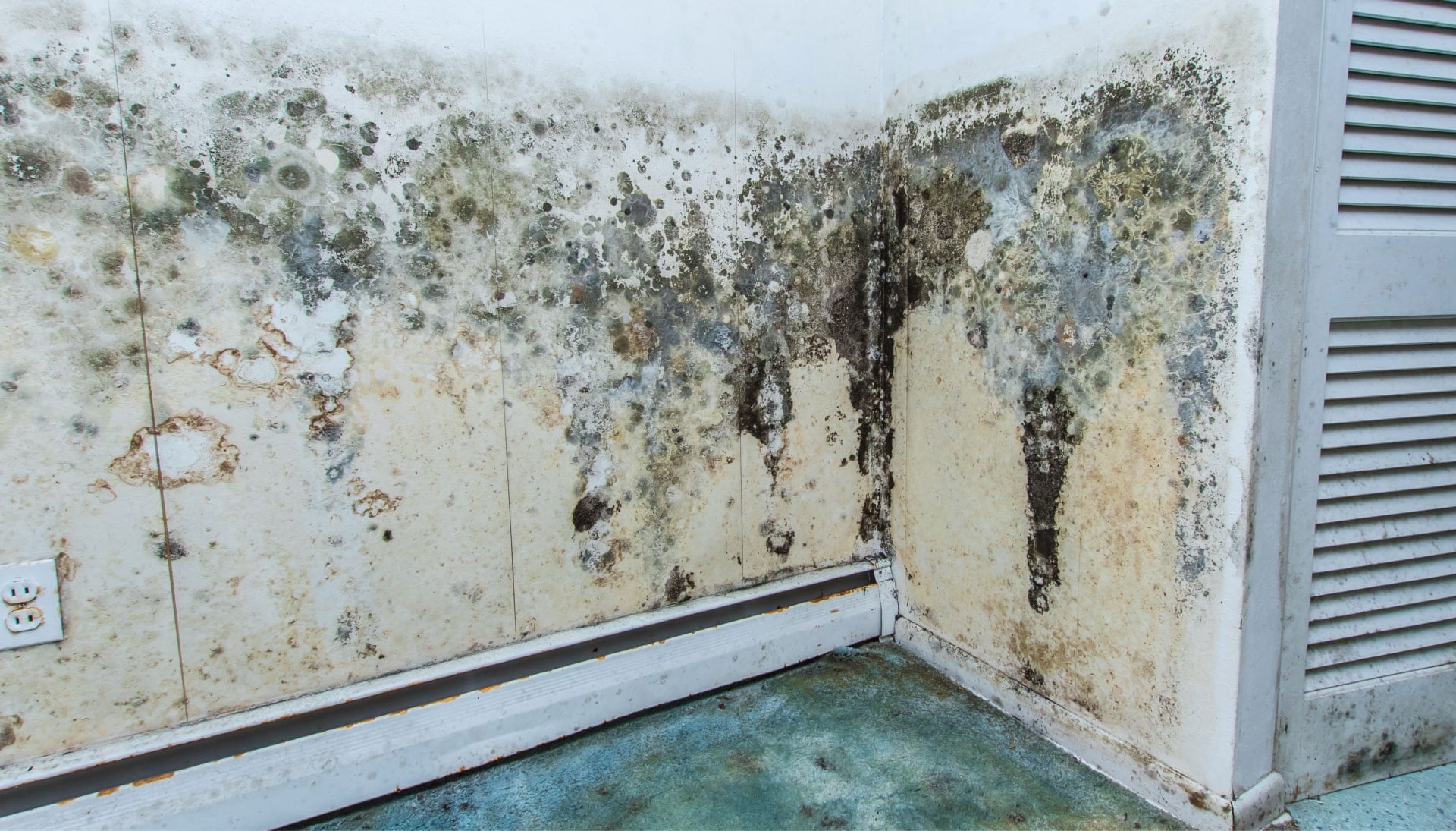 Mold-Damager-Odor-Control Chattanooga TN