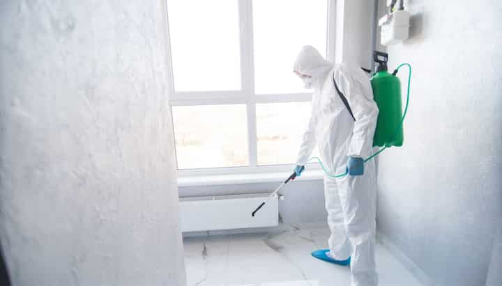 Mold-Inspection Chattanooga TN